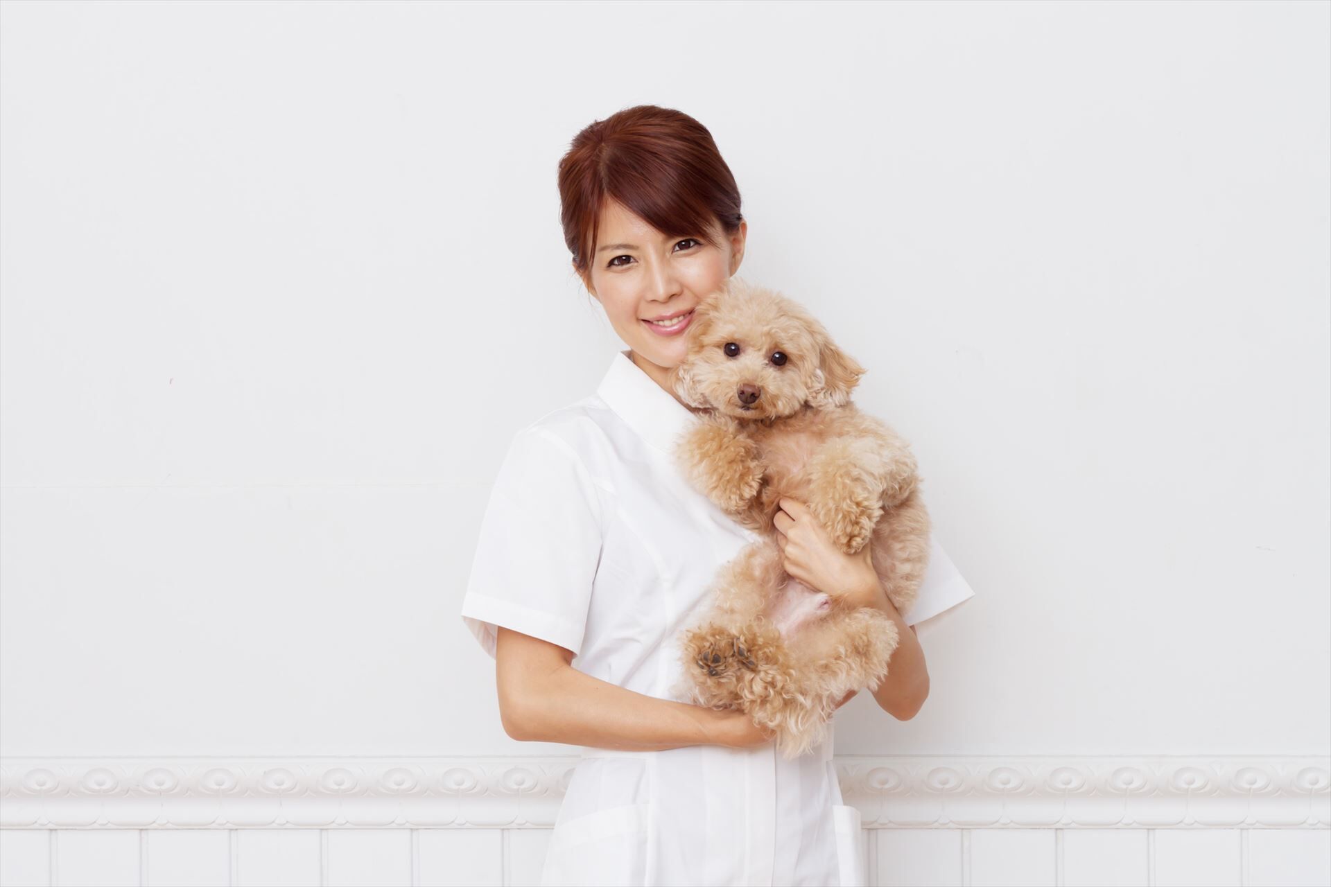 犬を抱く動物看護士