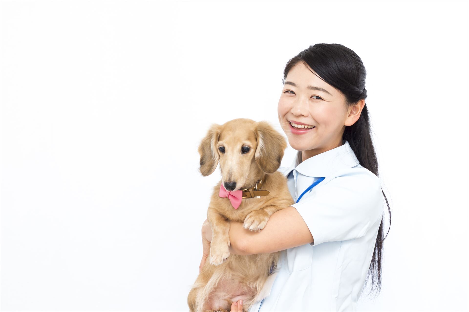 笑顔の動物看護士