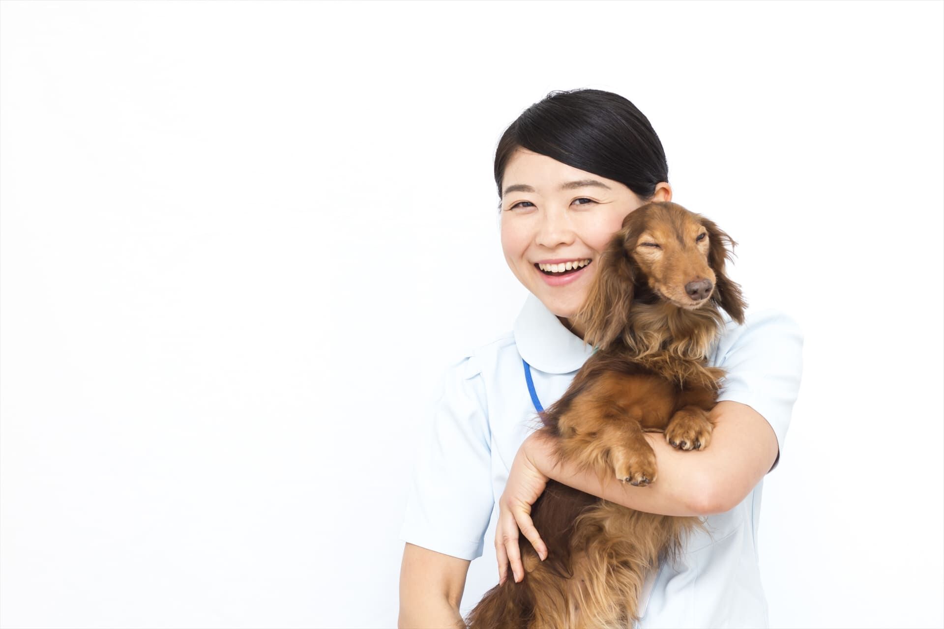 犬を抱きかかえるスタッフ