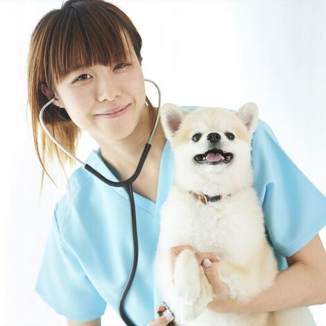 笑顔の女性獣医
