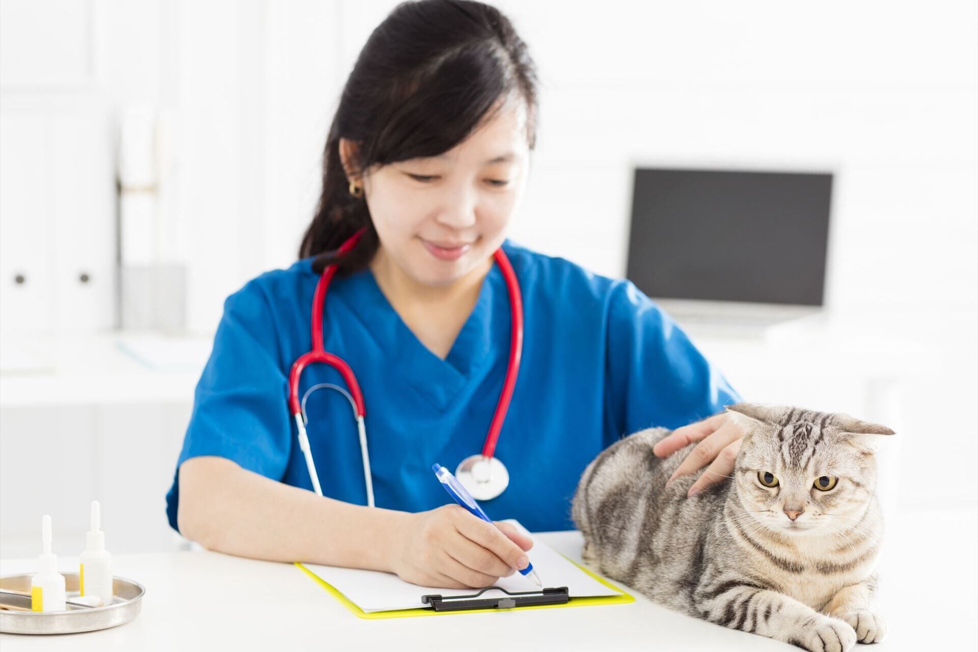 猫を診察する女性獣医