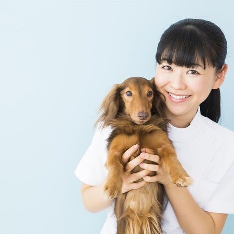 犬を抱っこするスタ府